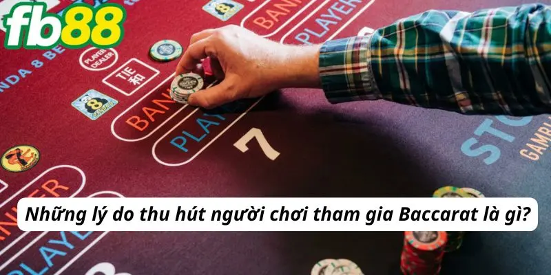 Những lý do thu hút người chơi tham gia  Baccarat là gì?